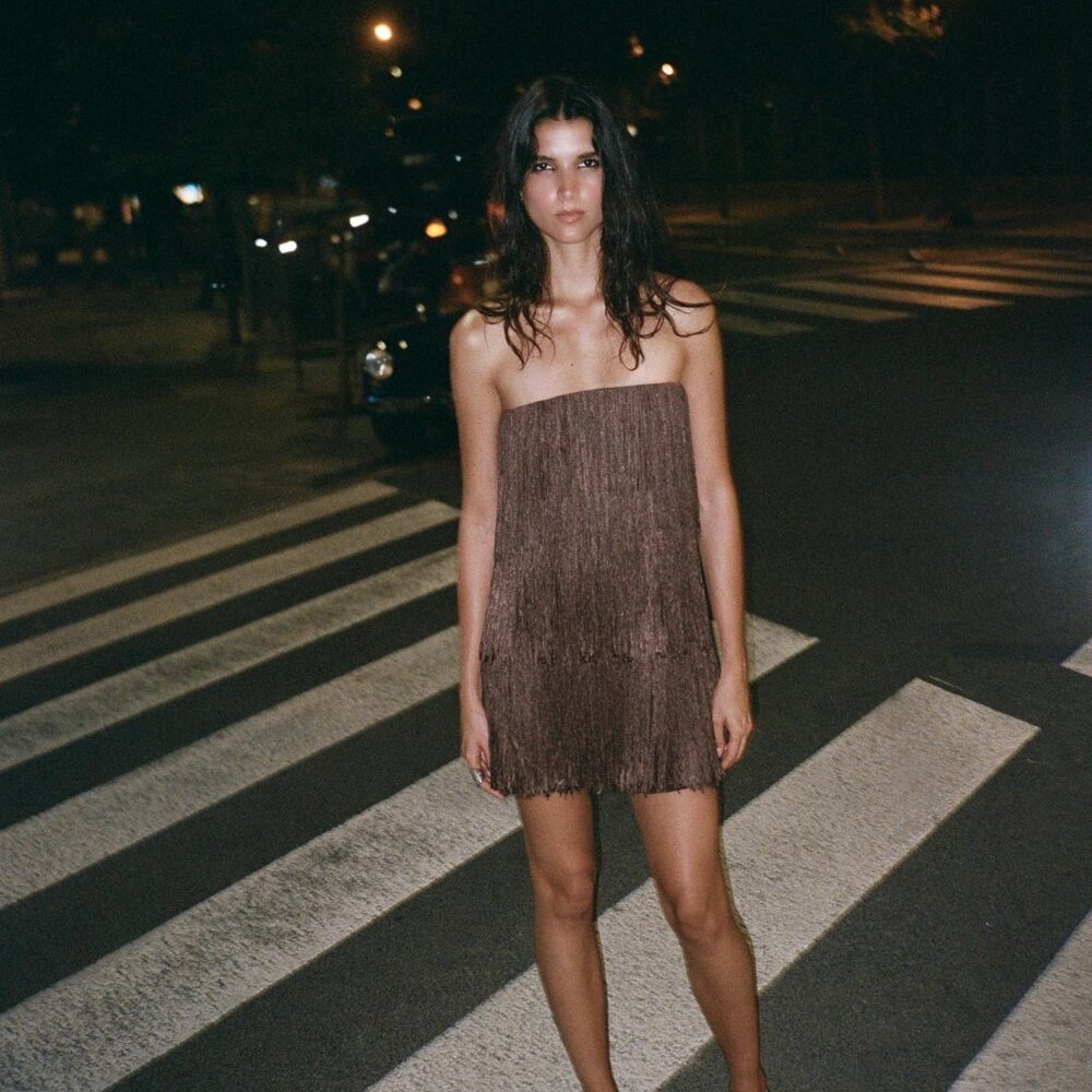 ZARA FRINGE DRESS